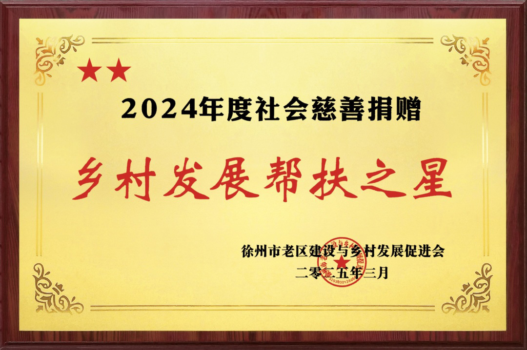 2024年度社会慈善捐赠乡村发展帮扶之星