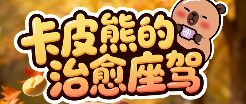 淮海卡皮熊 | 锐龙专属，无可挑剔！