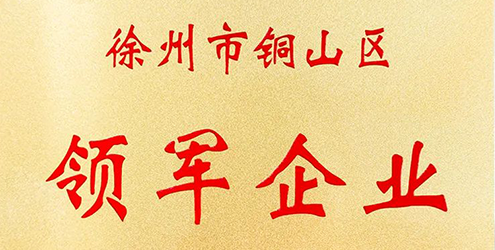 淮海车辆获徐州市铜山区年度“领军企业”表彰！